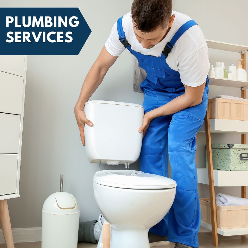 Plumbing Company in Hooppole, IL